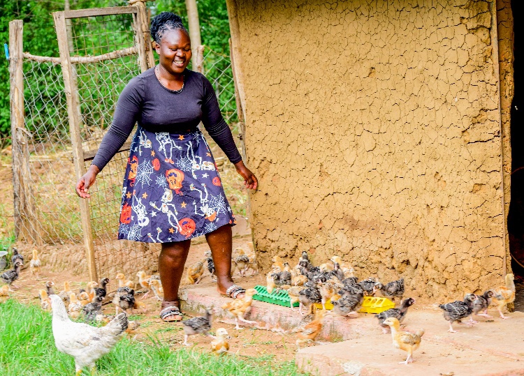Catherine Nabwire at her poultry unit in Elugulu ward, Busia County