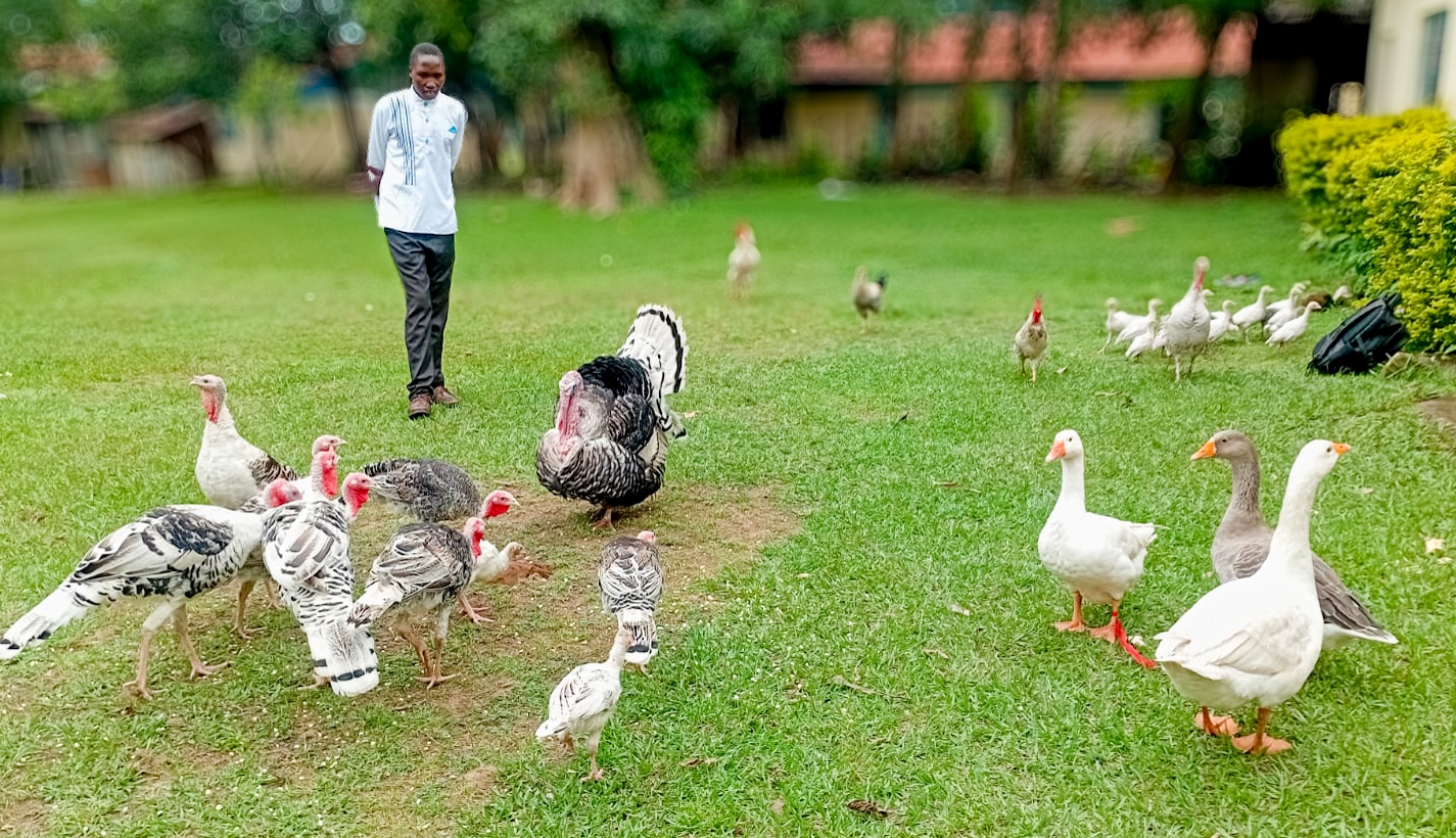 William Otwane with his poultry in Angurai East Ward, Busia County